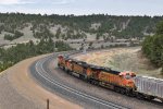 BNSF 7688/5066/7791